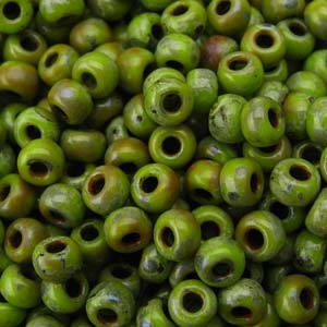 Picasso Chartreuse Matt Miyuki Seed Beads 6/0