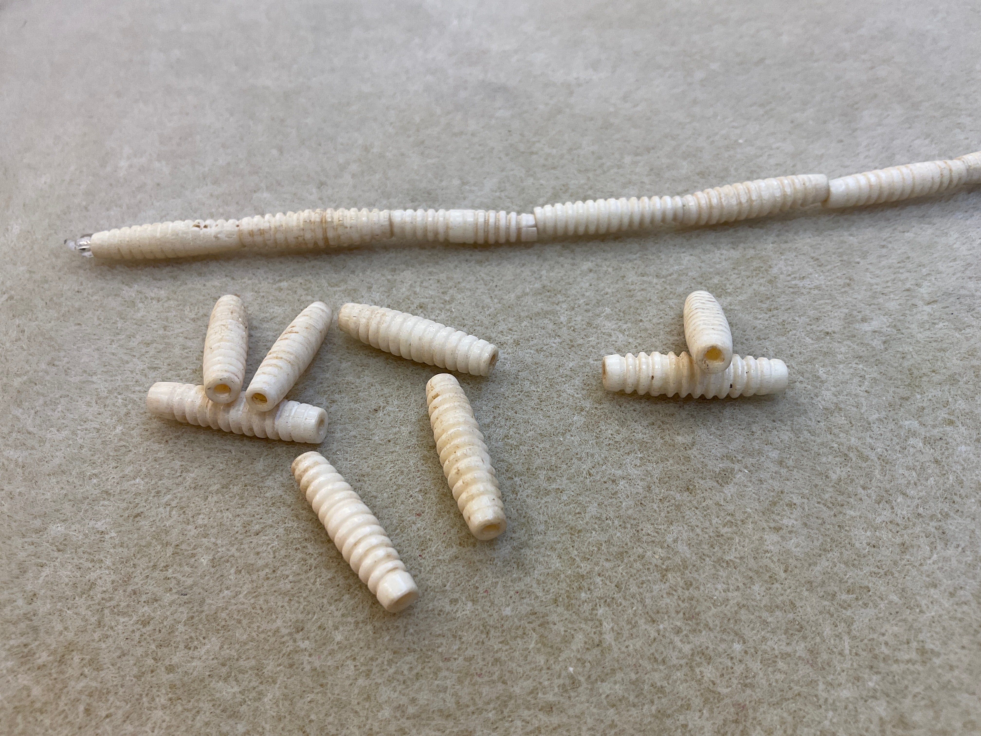 Bone Beads Carved Tubular w/Ridges